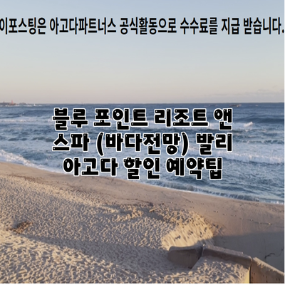 블루 포인트 리조트 앤 스파 (바다전망) 발리 아고다 할인 예약팁
