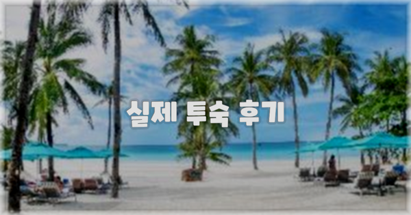 💬 실제 투숙 후기