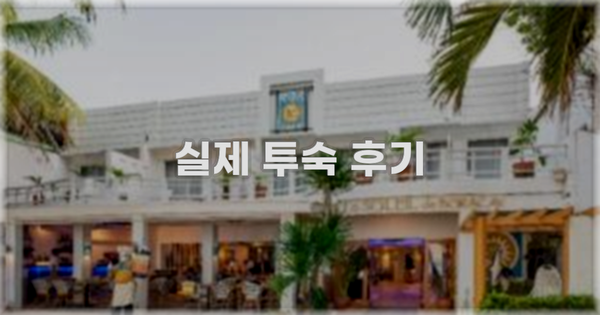 💬 실제 투숙 후기