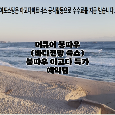 머큐어 붕따우 (바다전망 숙소) 붕따우 아고다 특가 예약팁