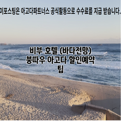 비부 호텔 (바다전망) 붕따우 아고다 할인예약 팁