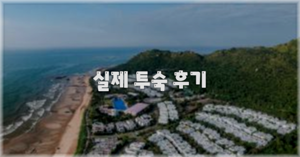 💬 실제 투숙 후기