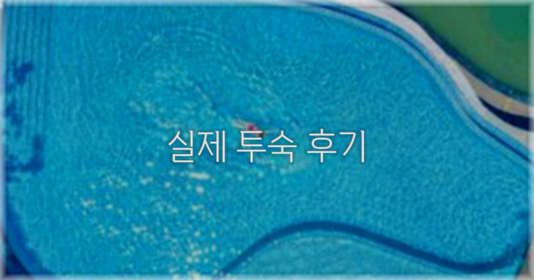 💬 실제 투숙 후기