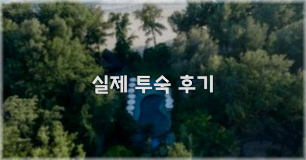 💬 실제 투숙 후기