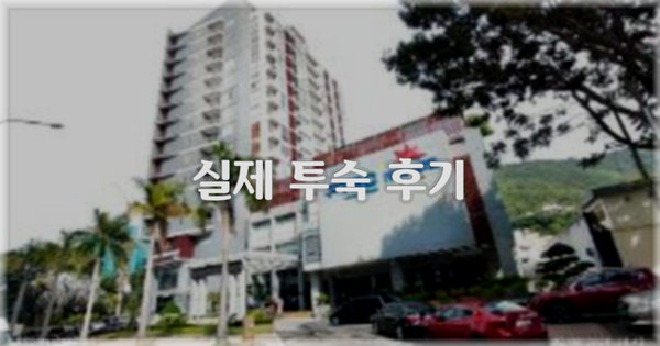 💬 실제 투숙 후기