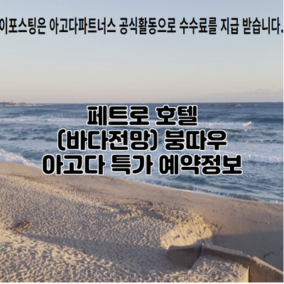 페트로 호텔 (바다전망) 붕따우 아고다 특가 예약정보