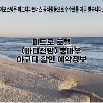 페트로 호텔 (바다전망) 붕따우 아고다 할인 예약정보